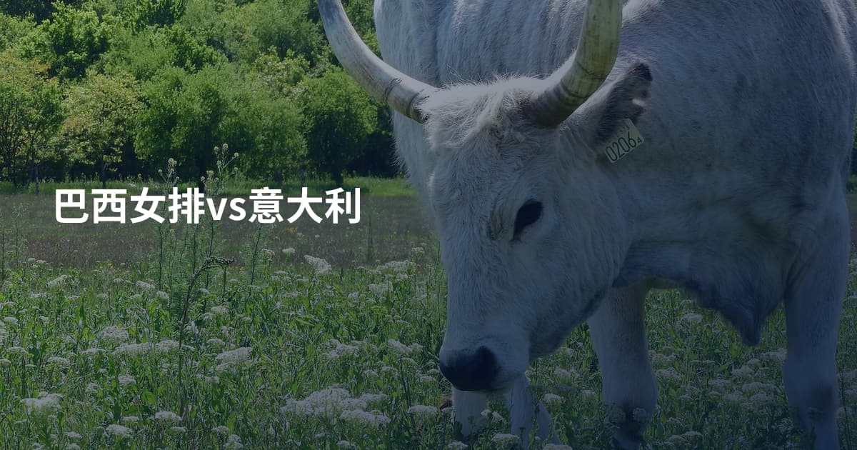 巴西女排vs意大利