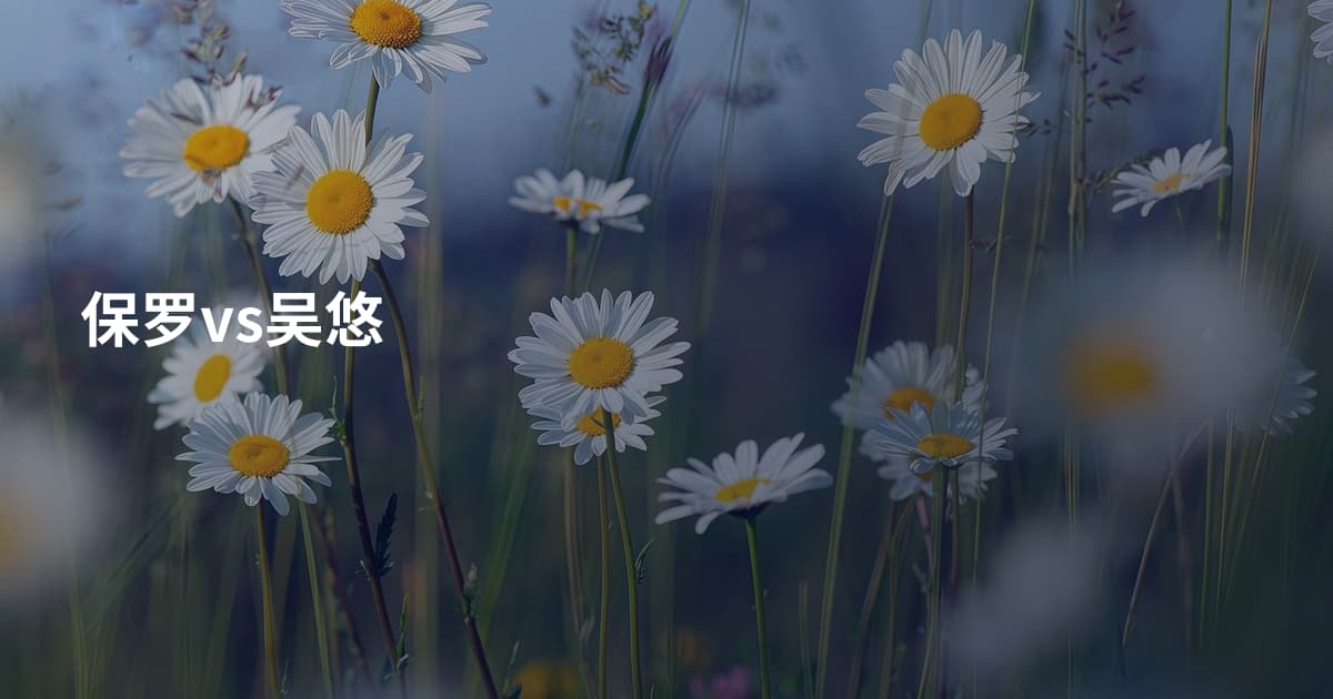 保罗vs吴悠