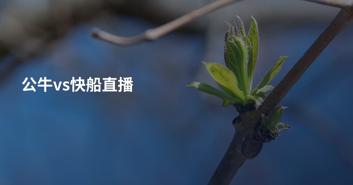 公牛vs快船直播