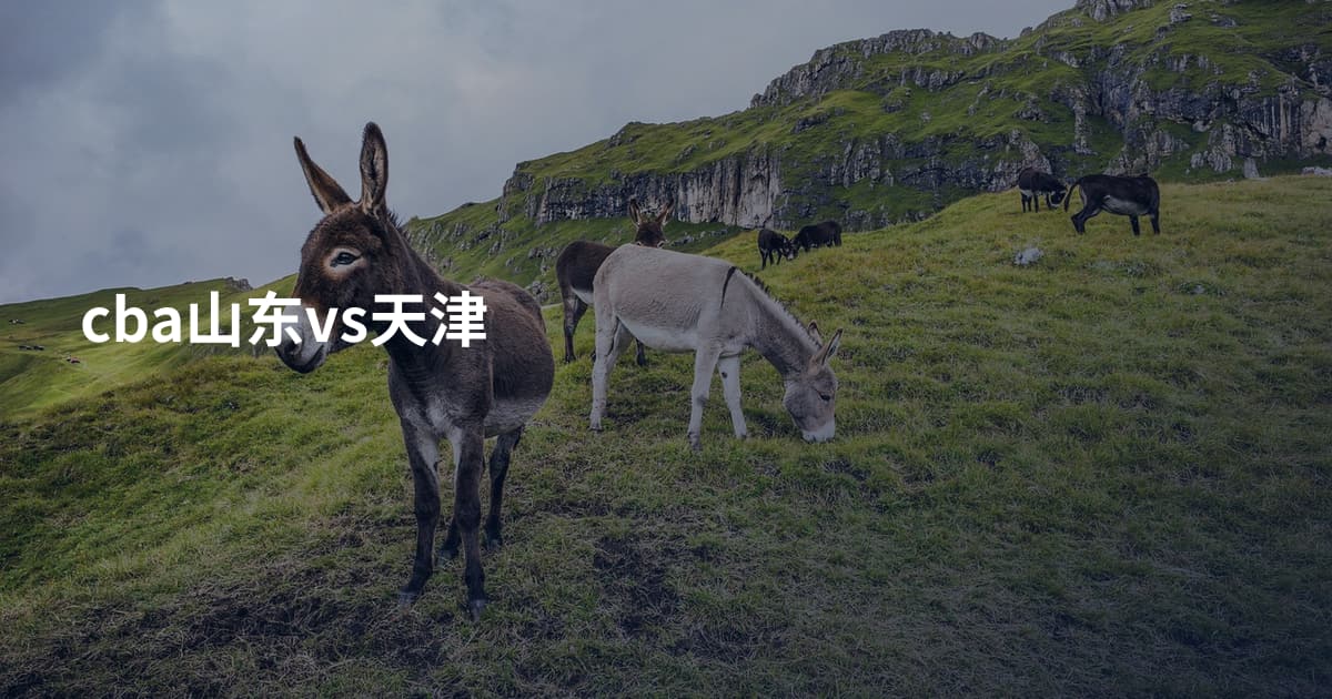 cba山东vs天津