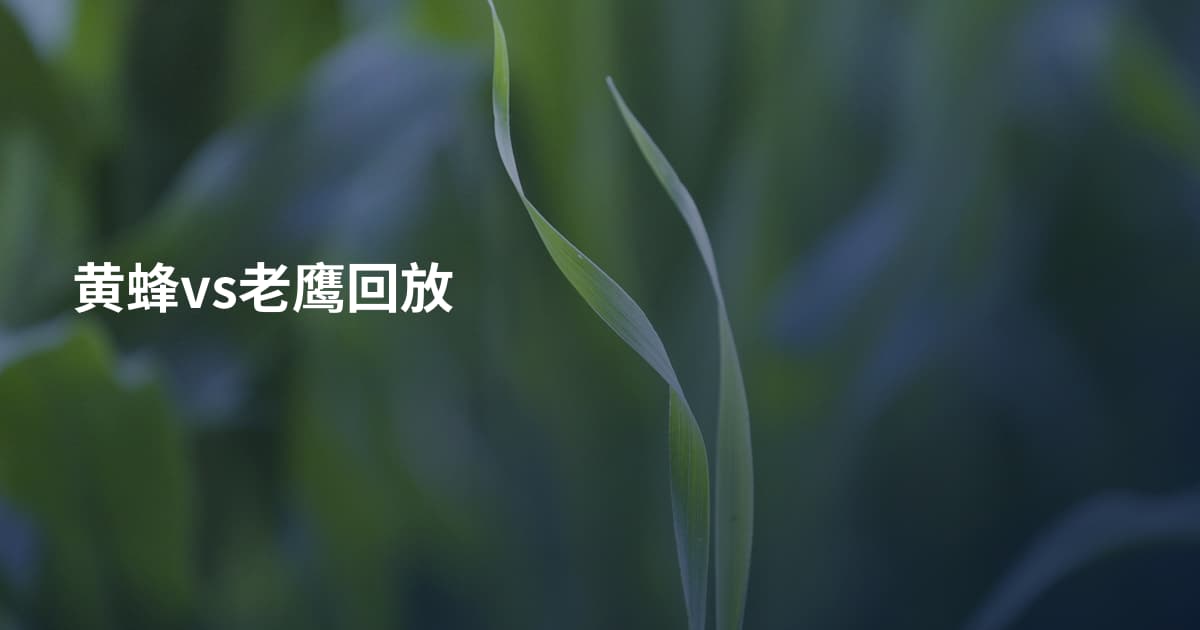 黄蜂vs老鹰回放