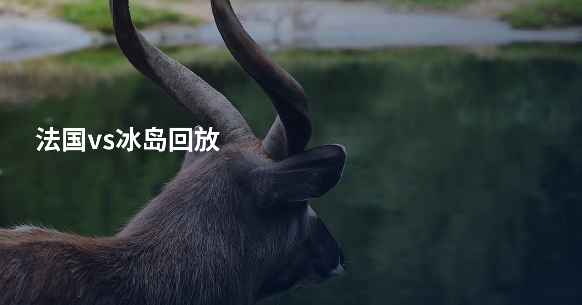 法国vs冰岛回放