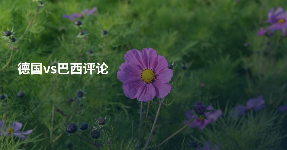 德国vs巴西评论