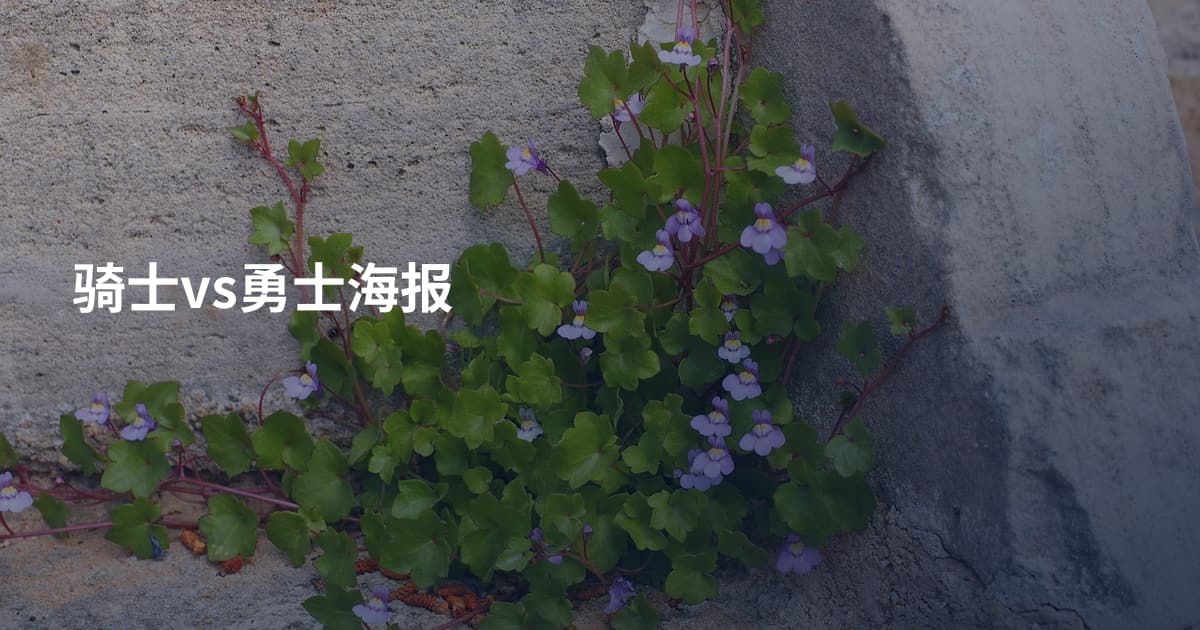 骑士vs勇士海报