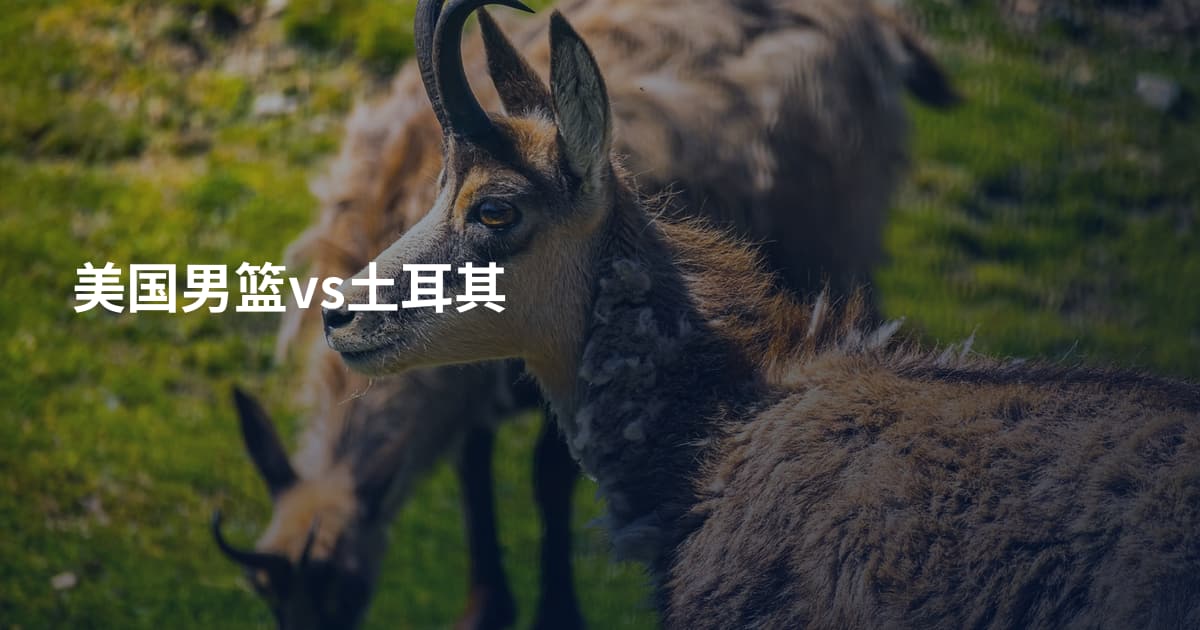 美国男篮vs土耳其