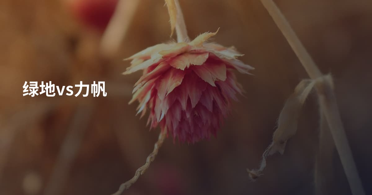 绿地vs力帆