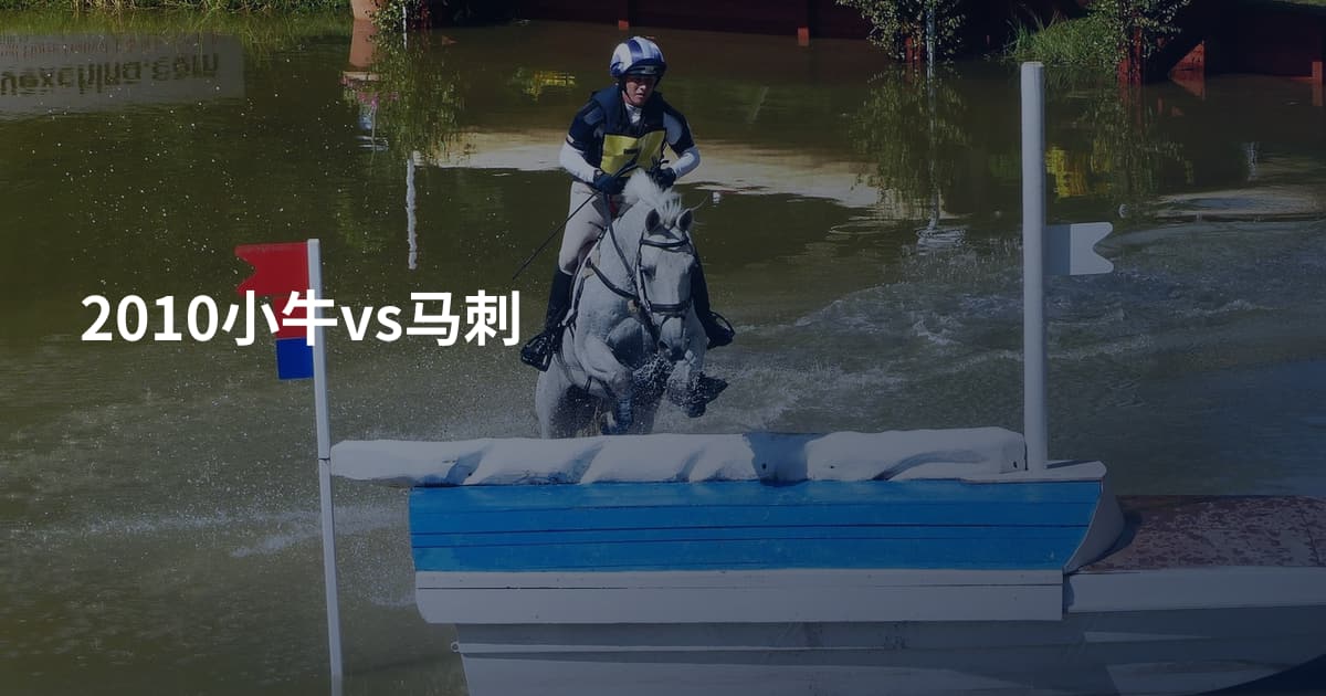 2010小牛vs马刺