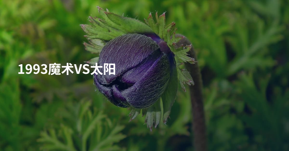 1993魔术VS太阳