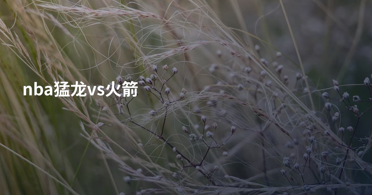 nba猛龙vs火箭