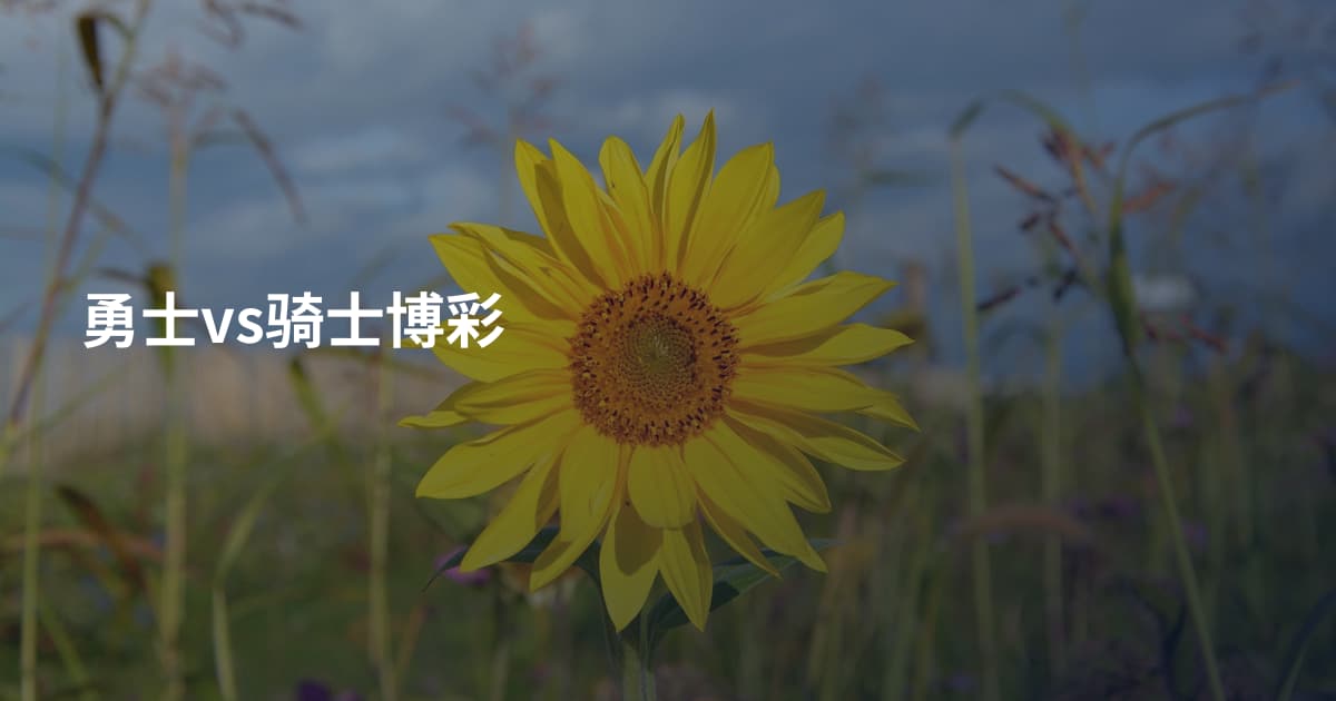 勇士vs骑士博彩