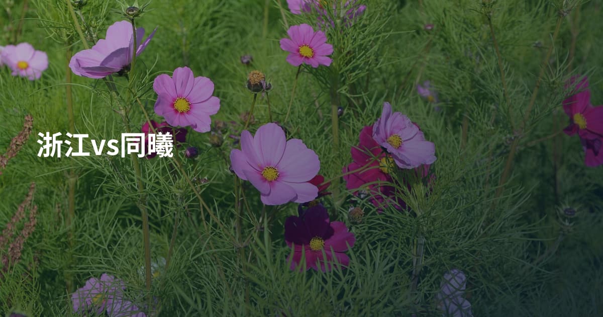 浙江vs同曦