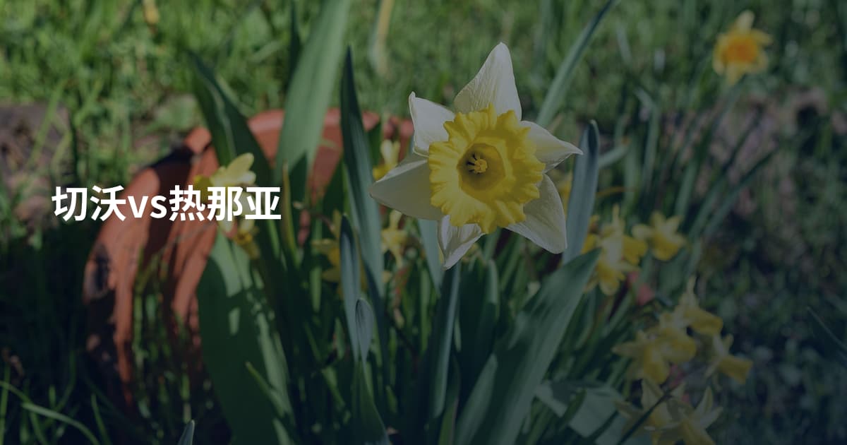 切沃vs热那亚