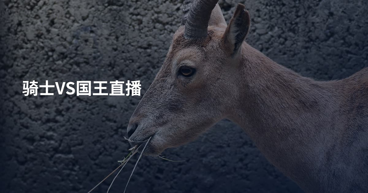 骑士VS国王直播