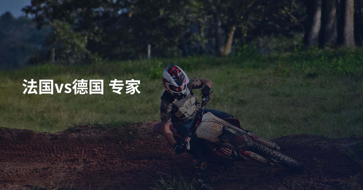 法国vs德国 专家