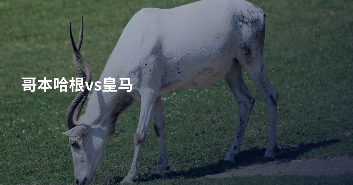 哥本哈根vs皇马