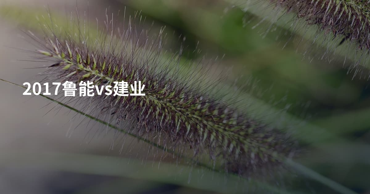 2017鲁能vs建业