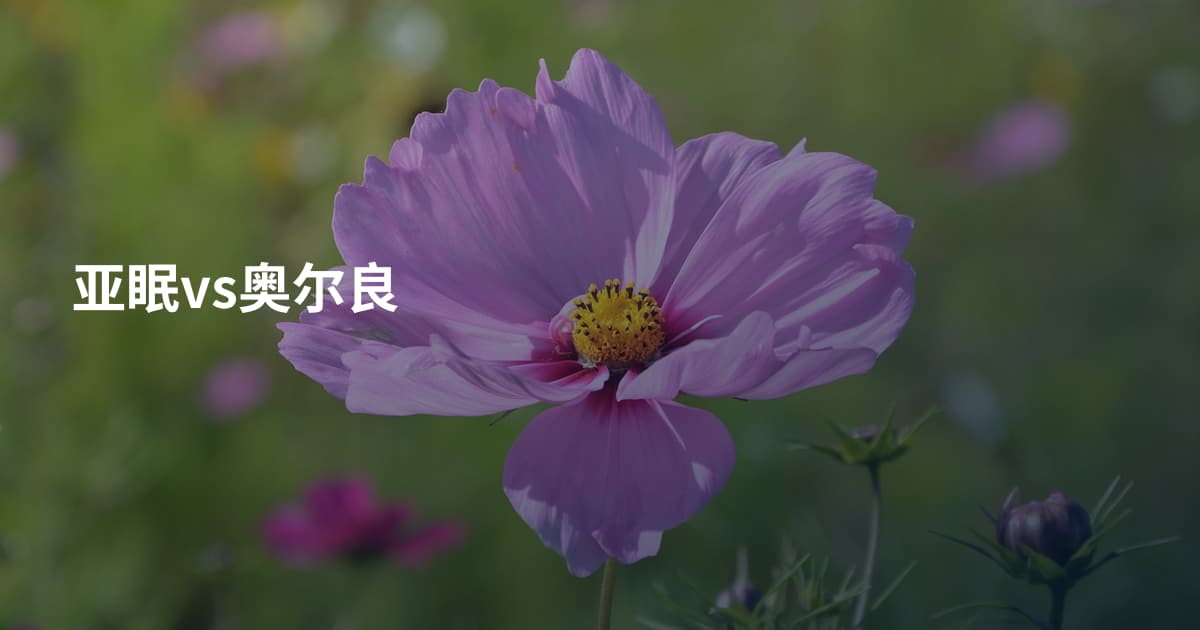 亚眠vs奥尔良