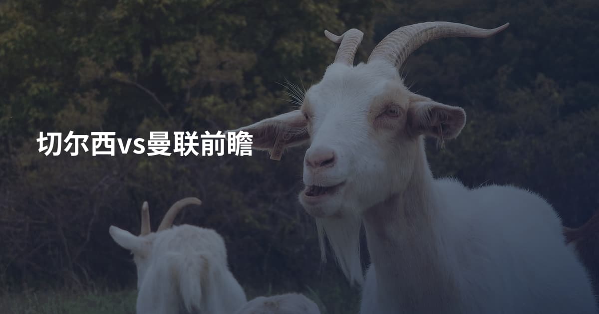 切尔西vs曼联前瞻