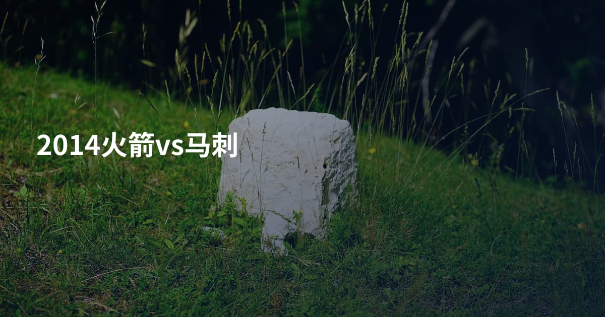 2014火箭vs马刺
