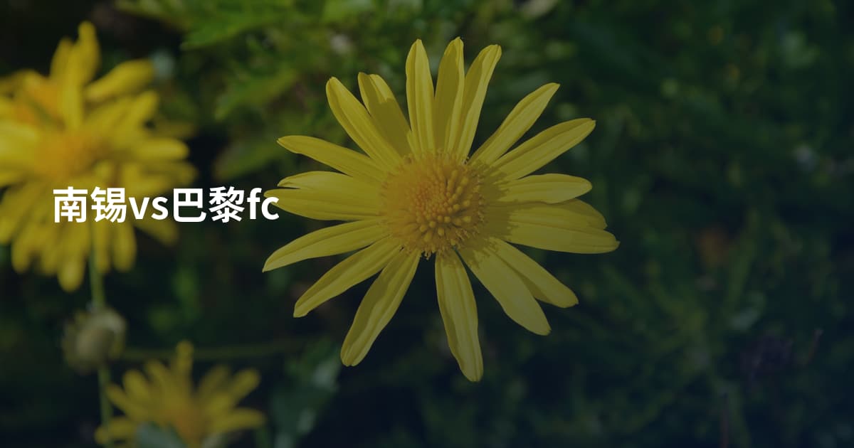 南锡vs巴黎fc