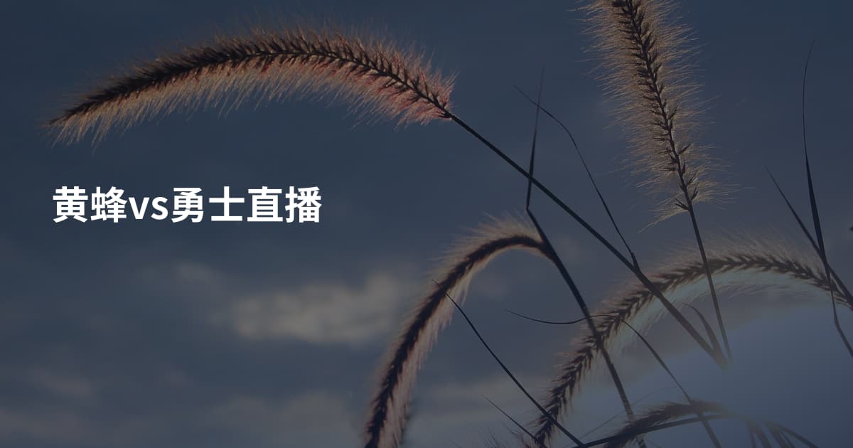 黄蜂vs勇士直播