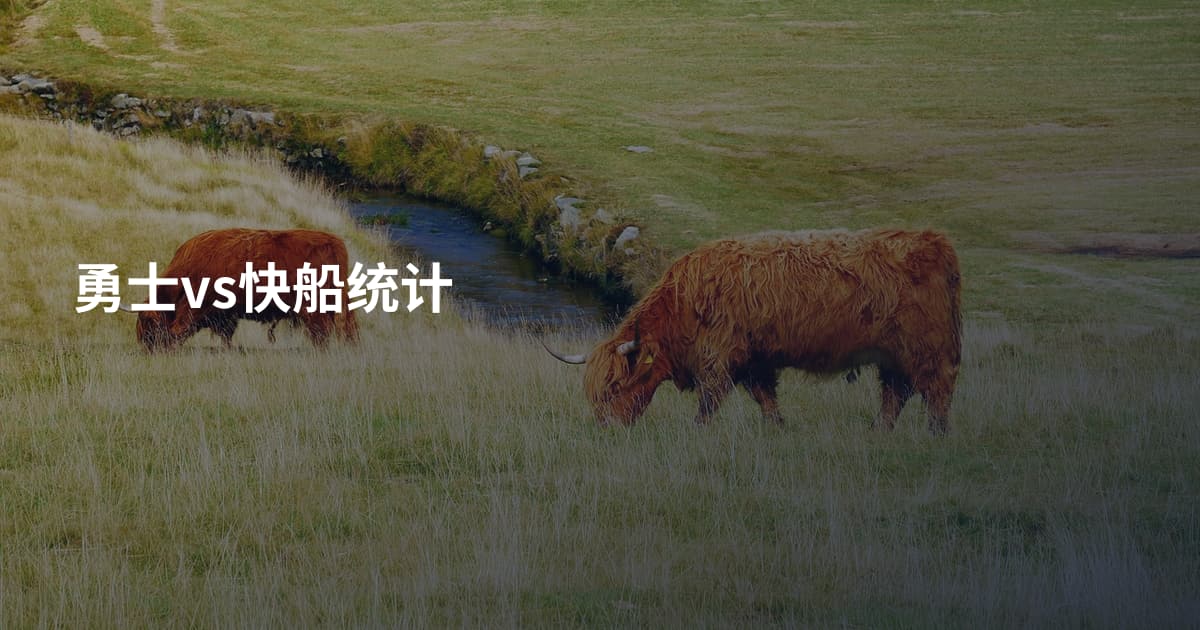 勇士vs快船统计