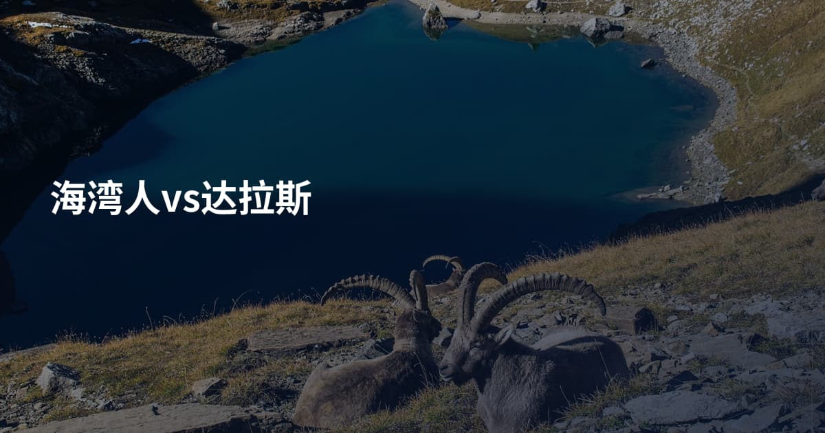 海湾人vs达拉斯
