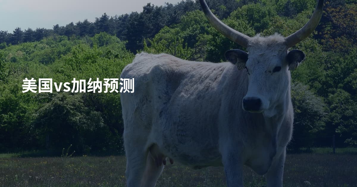 美国vs加纳预测