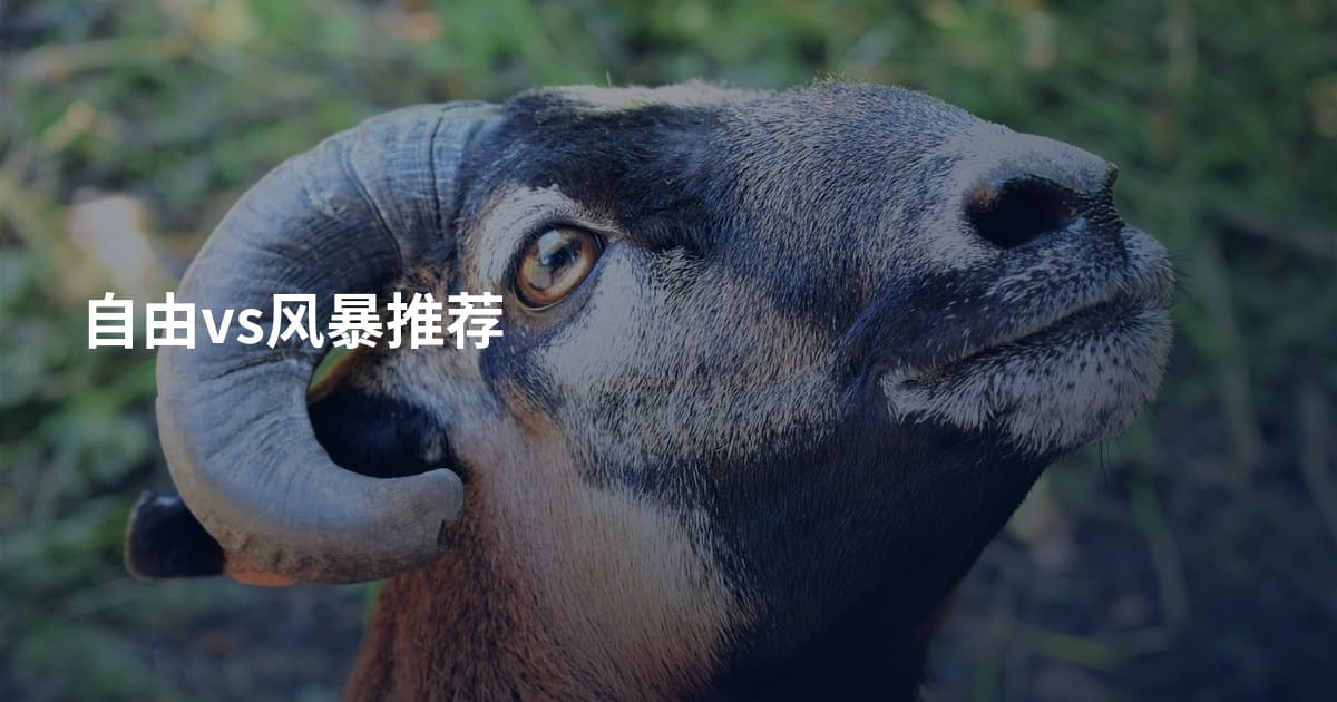 自由vs风暴推荐