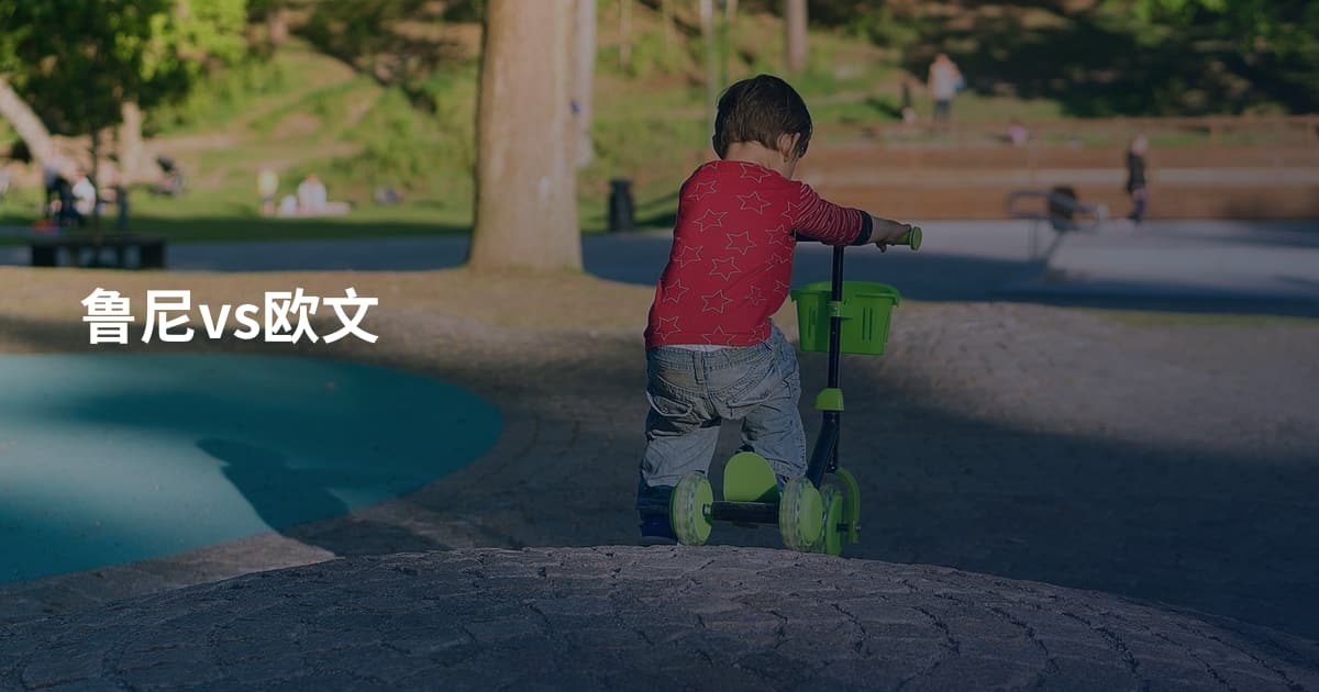 鲁尼vs欧文