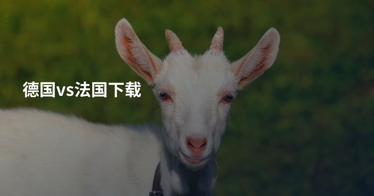 德国vs法国下载
