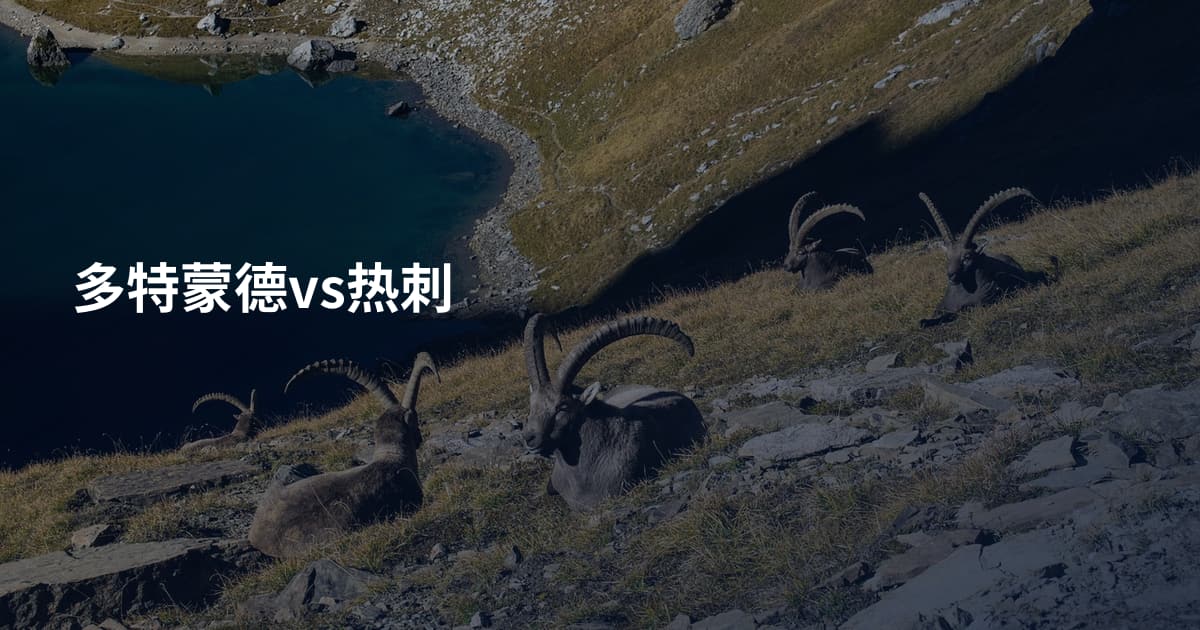 多特蒙德vs热刺
