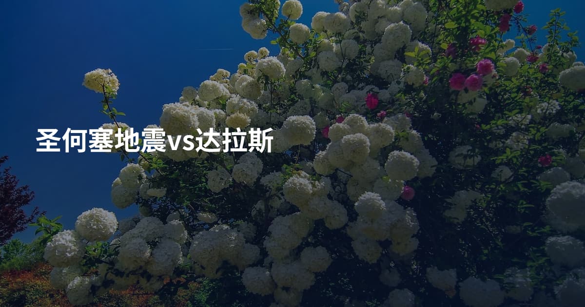 圣何塞地震vs达拉斯