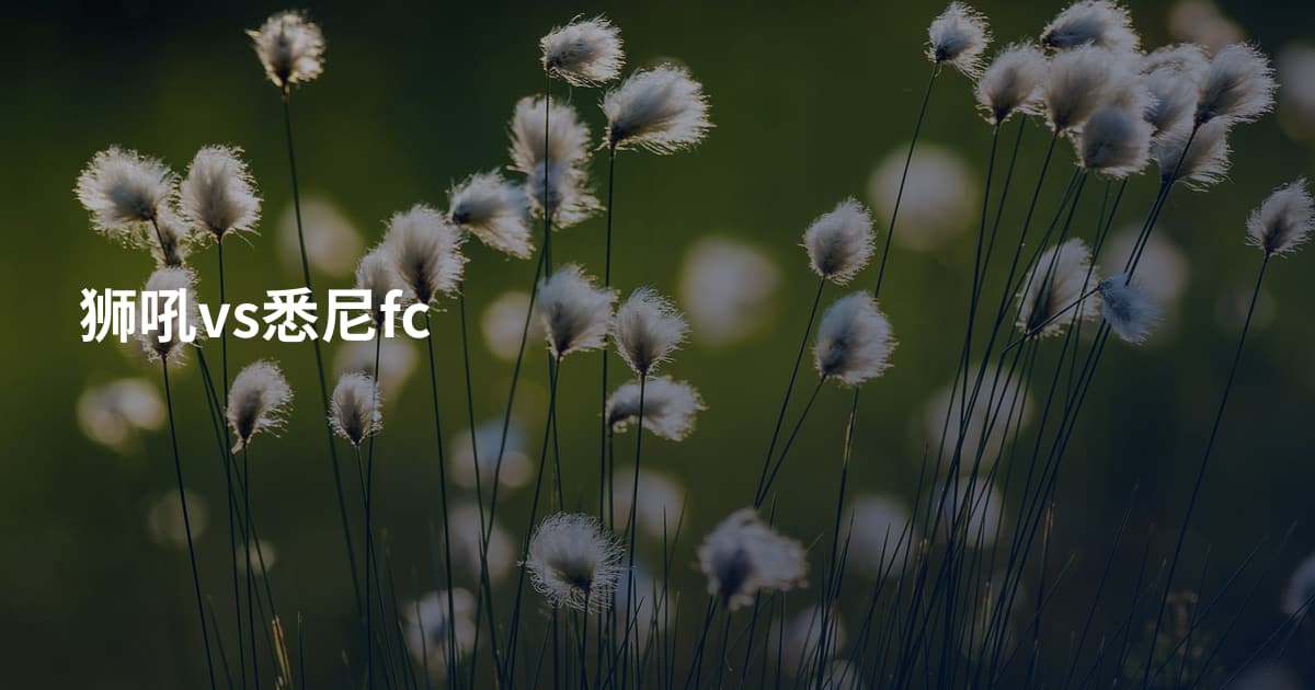 狮吼vs悉尼fc