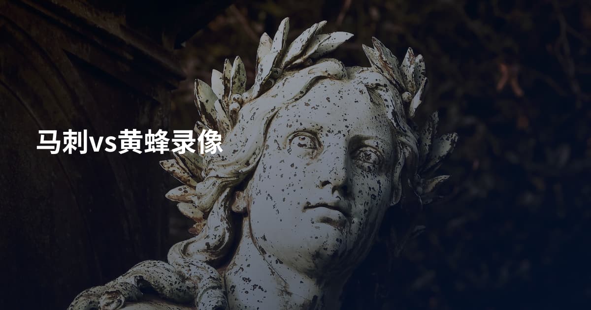 马刺vs黄蜂录像