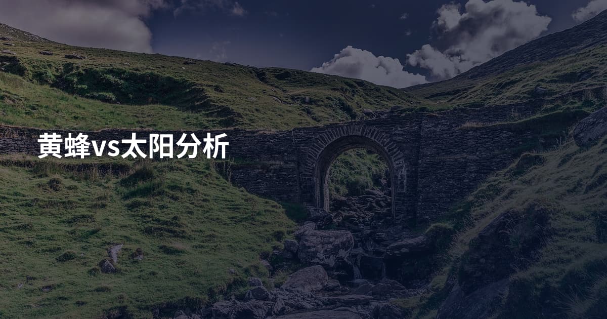 黄蜂vs太阳分析