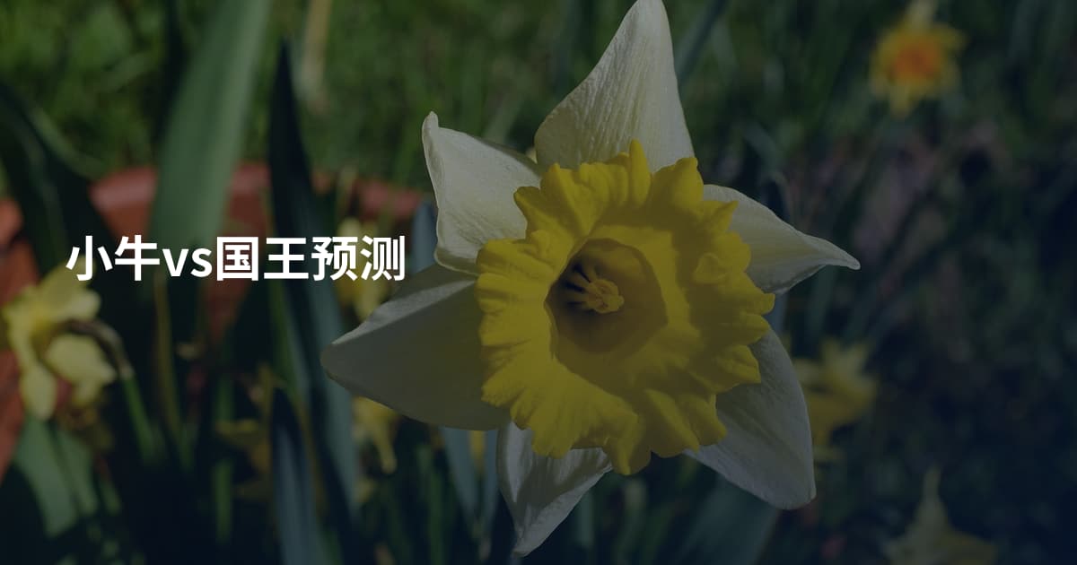小牛vs国王预测