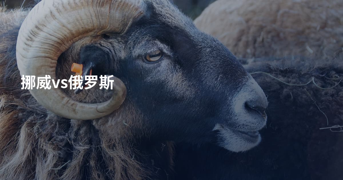 挪威vs俄罗斯