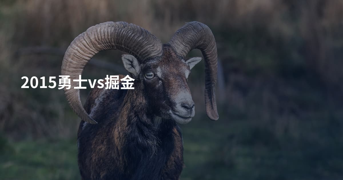 2015勇士vs掘金