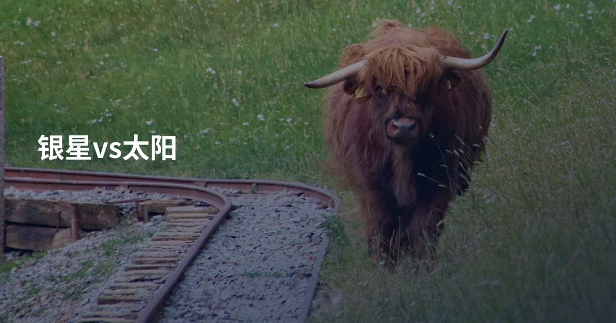 银星vs太阳