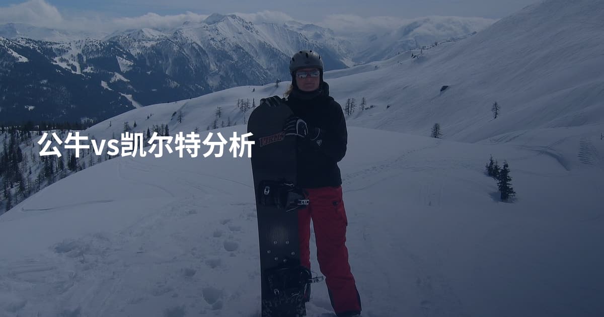 公牛vs凯尔特分析