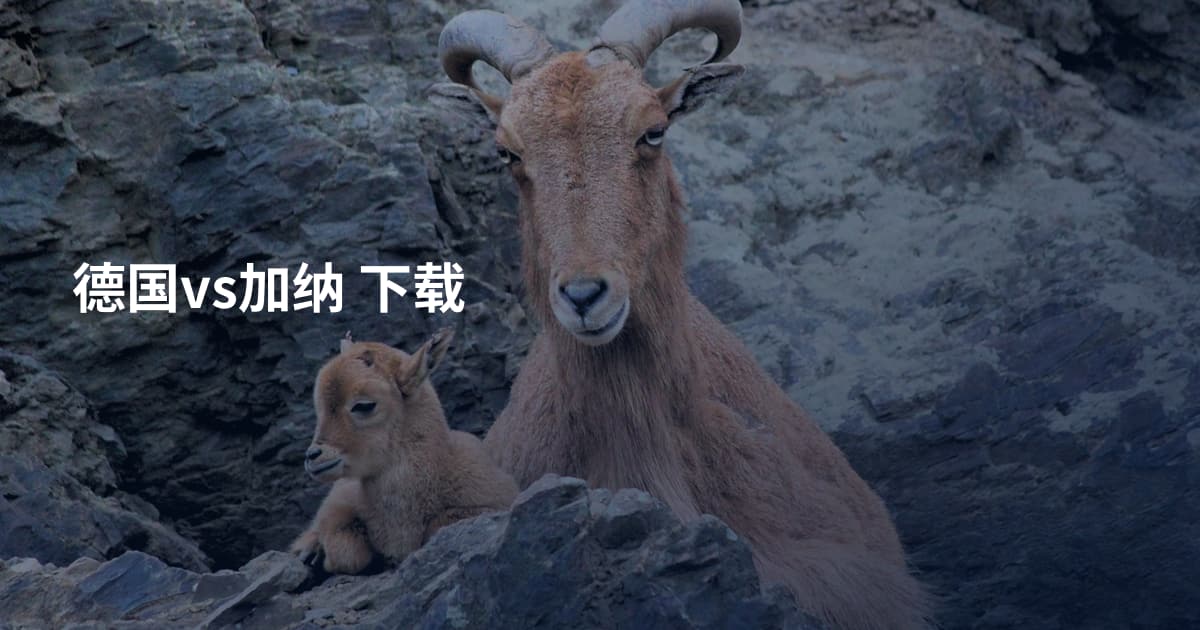 德国vs加纳 下载