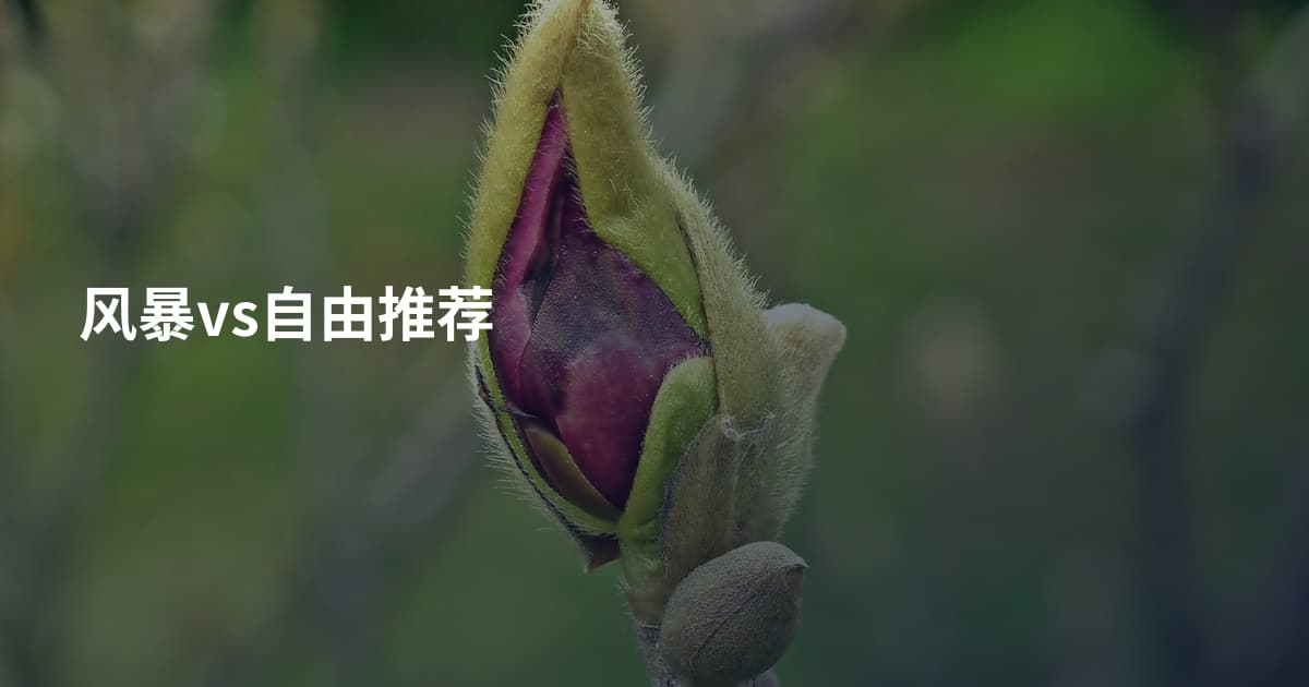 风暴vs自由推荐