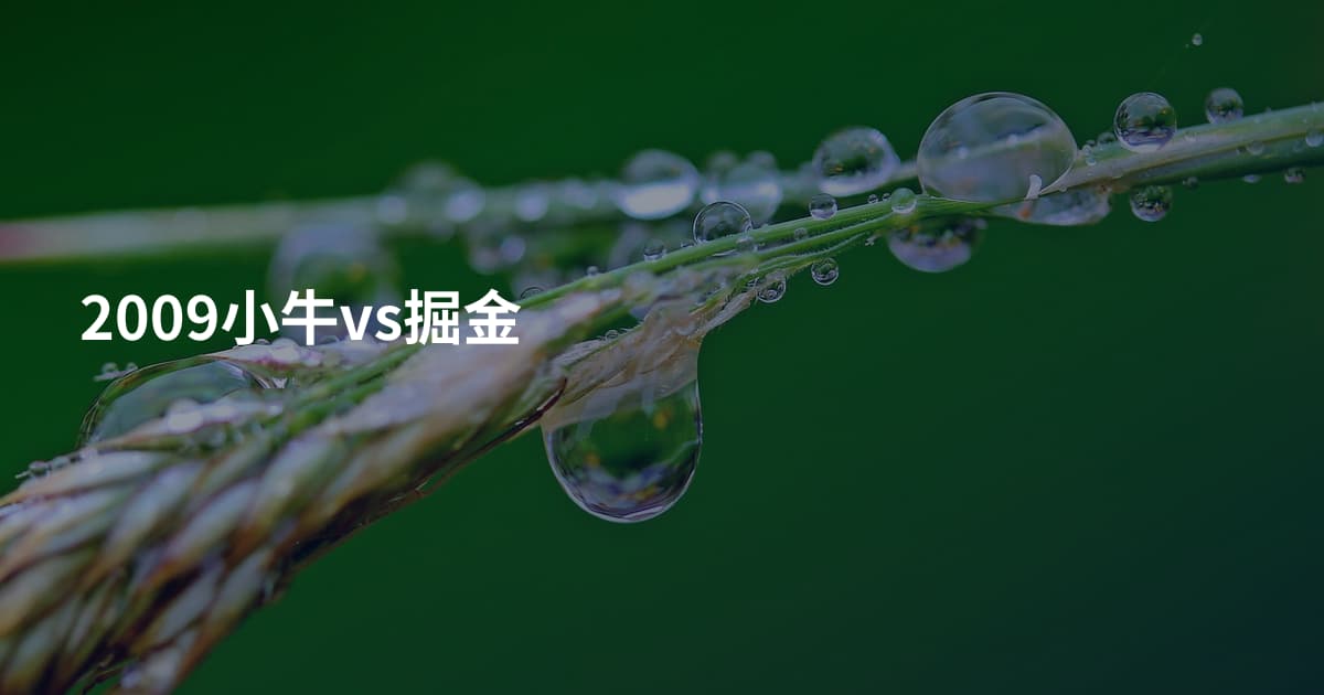 2009小牛vs掘金