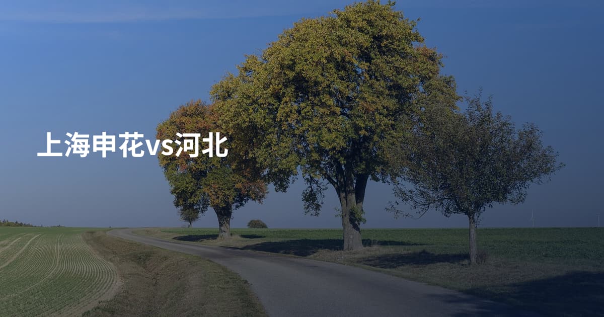 上海申花vs河北