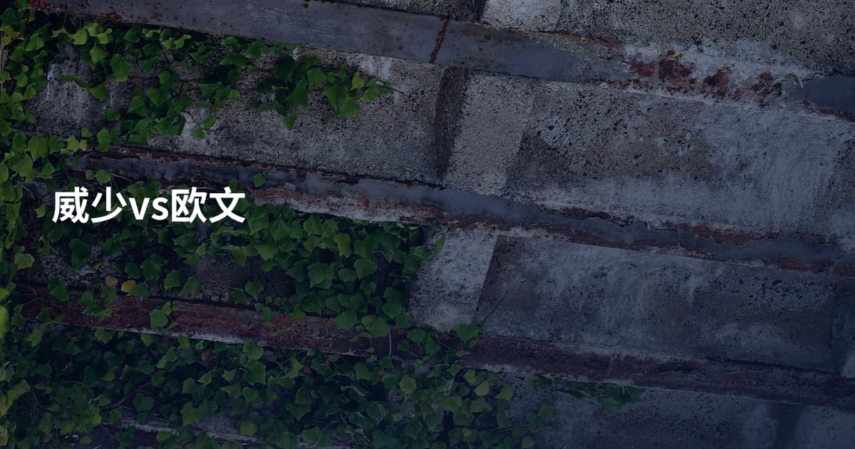 威少vs欧文