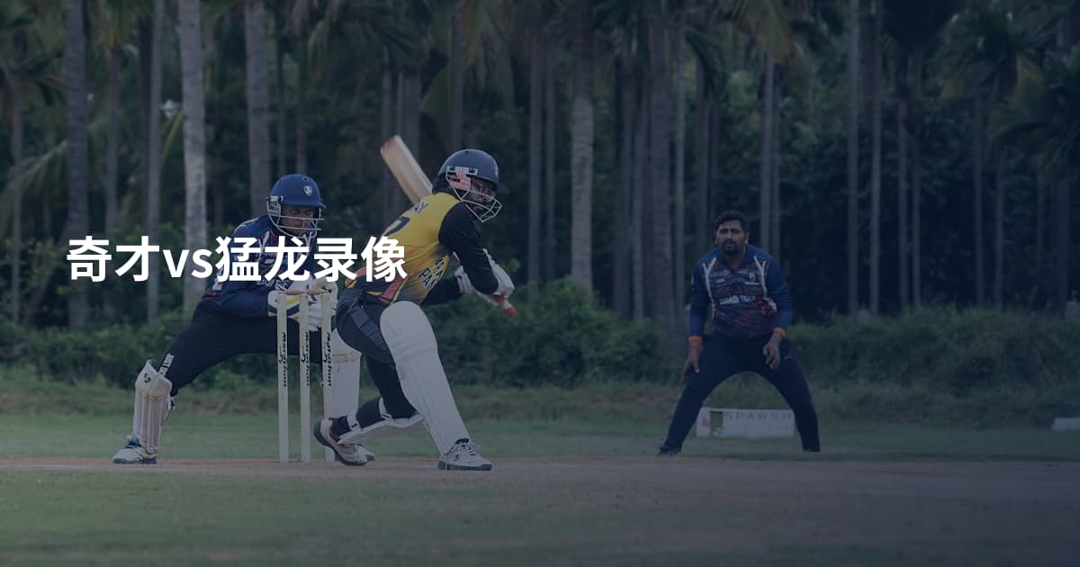 奇才vs猛龙录像