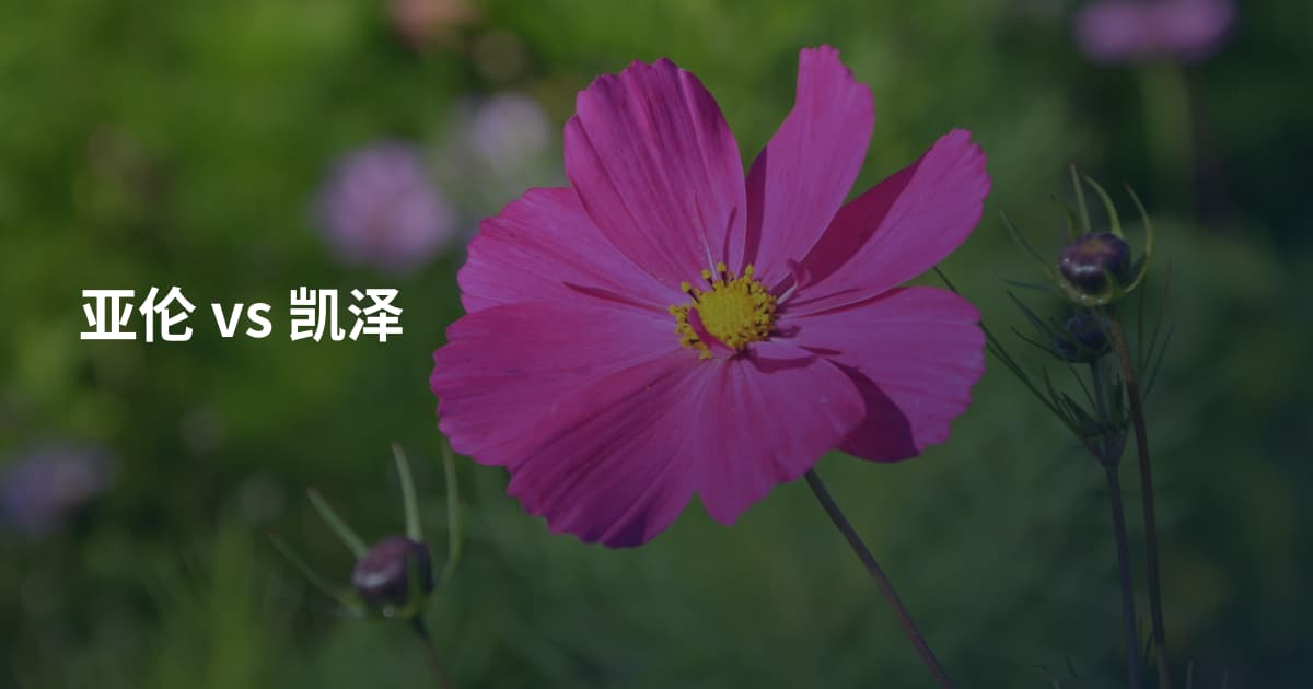 亚伦 vs 凯泽