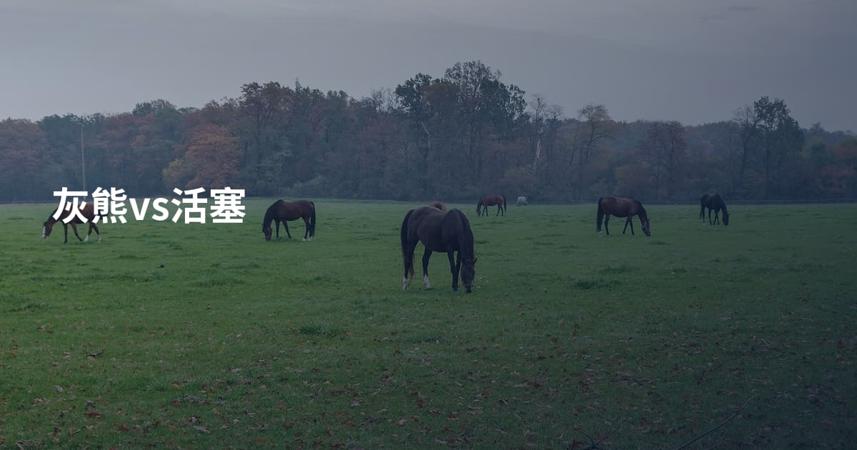 灰熊vs活塞