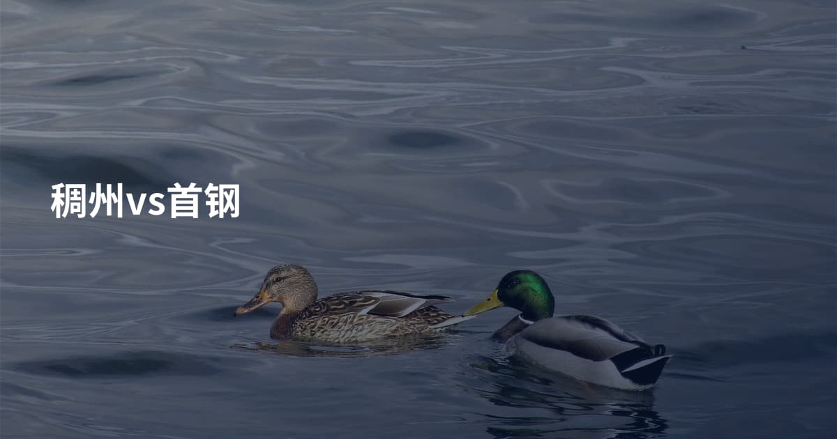 稠州vs首钢